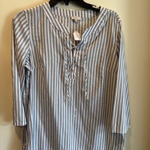 Talbots Light Blue and White Striped Blouse